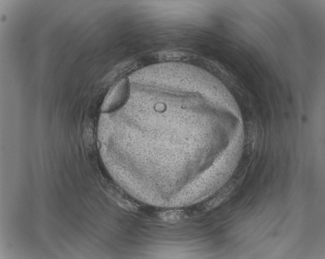 X0000067510761200604281608