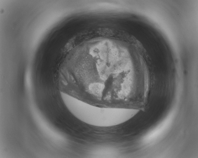 X0000067510765200604281608