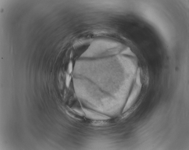 X0000067510766200604281608