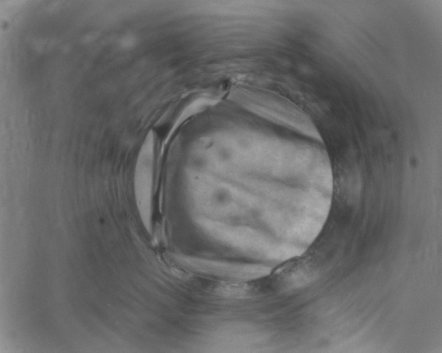 X0000067510767200604281608