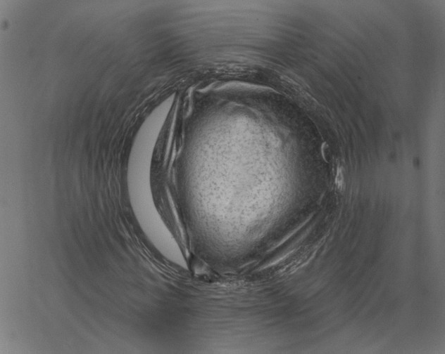 X0000067510771200604281607