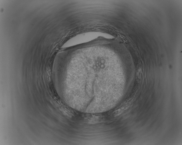 X0000067510772200604281607