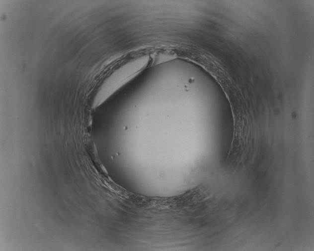 X0000067510773200604281607