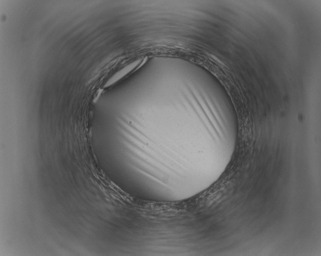 X0000067510774200604281607