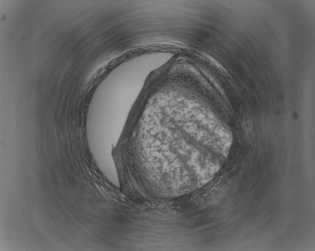 X0000067510775200604281607