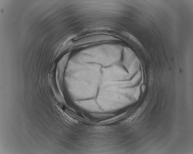 X0000067510777200604281607