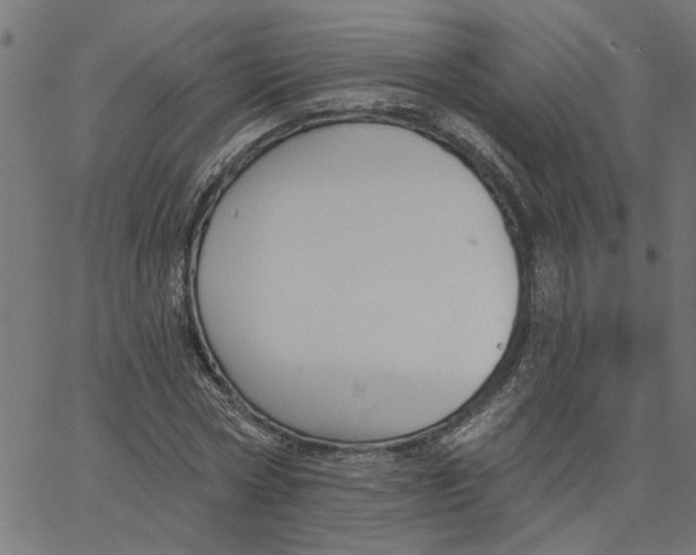 X0000067510778200604281607