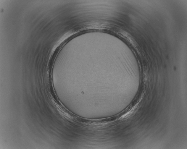 X0000067510779200604281607