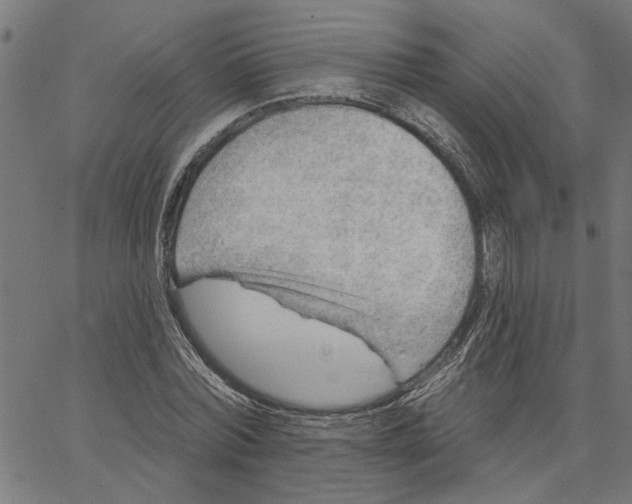 X0000067510780200604281607