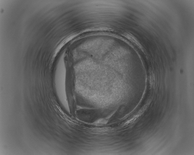 X0000067510781200604281607