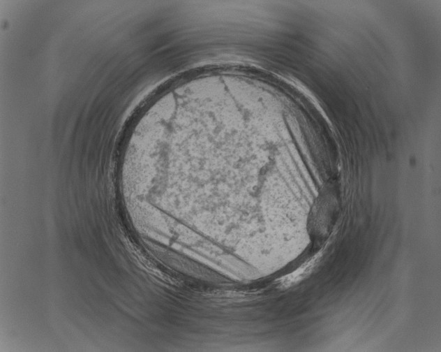 X0000067510783200604281607