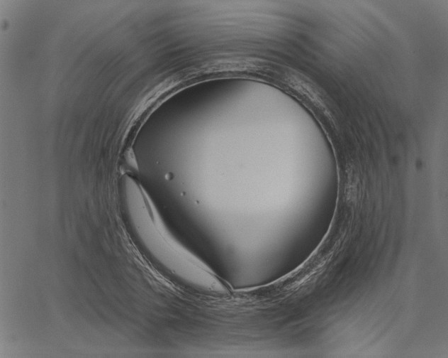 X0000067510786200604281607