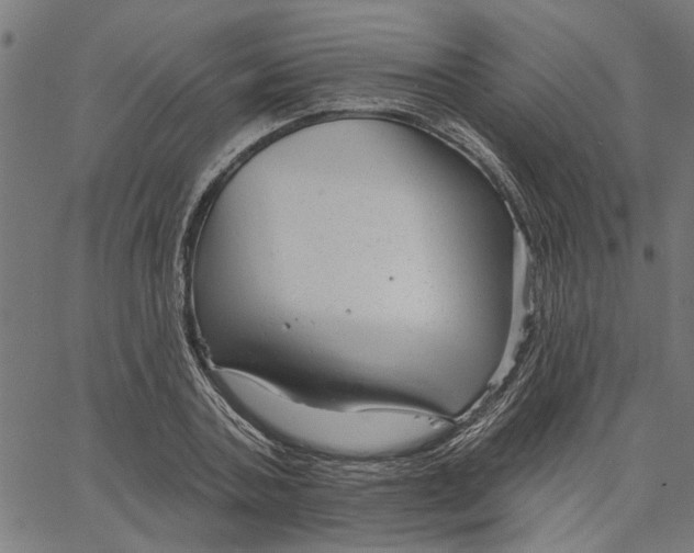 X0000067510787200604281607