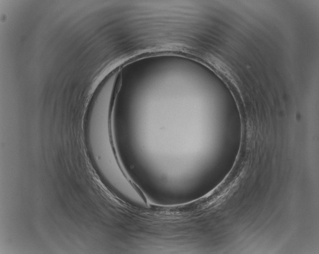 X0000067510789200604281607