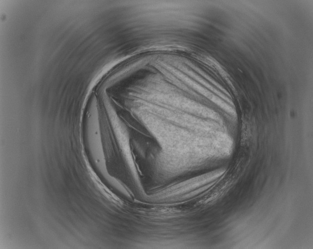 X0000067510795200604281607