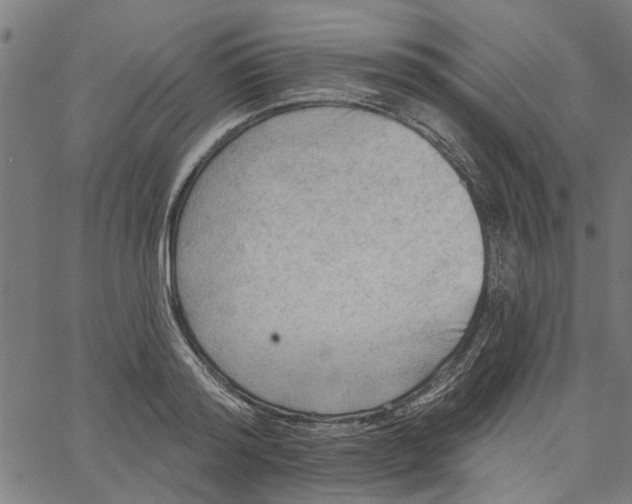 X0000067510796200604281607