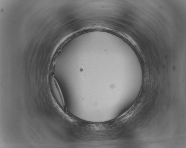 X0000067510799200604281607