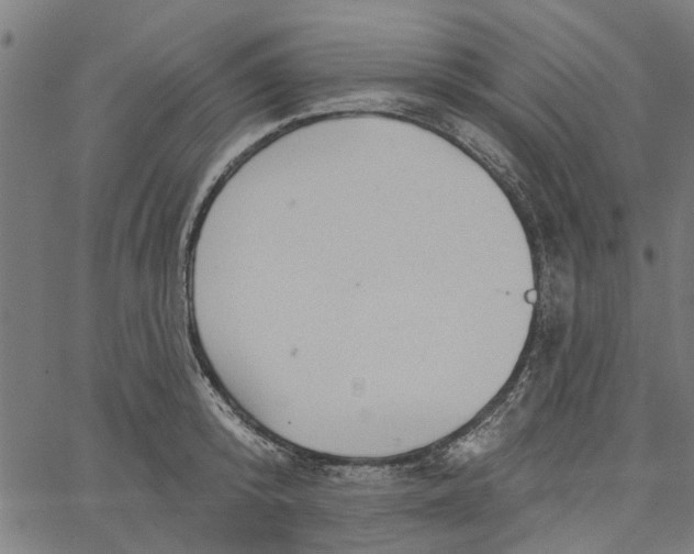 X0000067510800200604281607