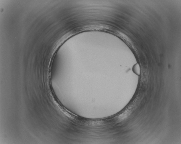 X0000067510802200604281607