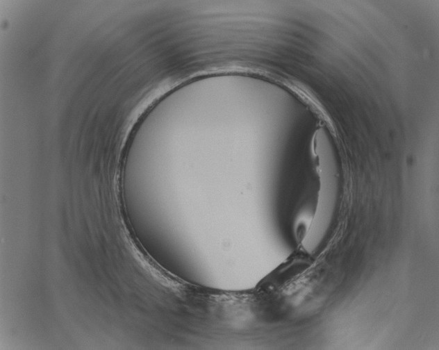 X0000067510805200604281607