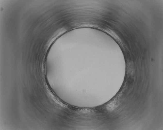 X0000067510806200604281607