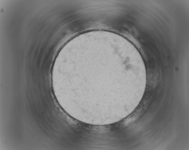 X0000067510807200604281607