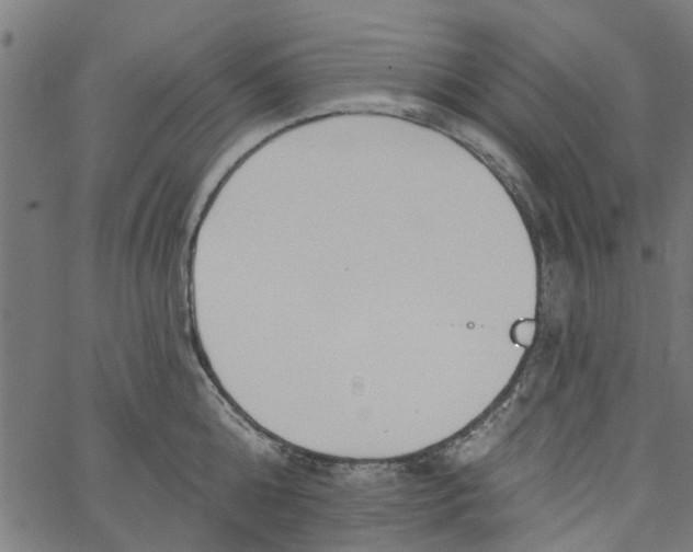 X0000067510808200604281607