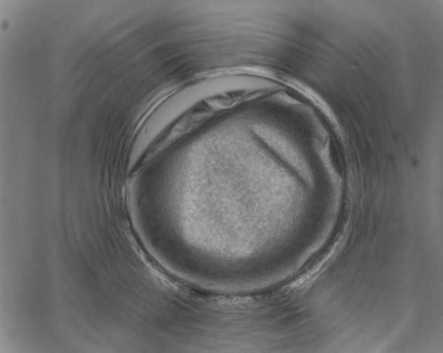 X0000067510809200604281607