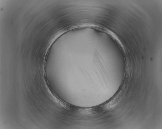 X0000067510810200604281607