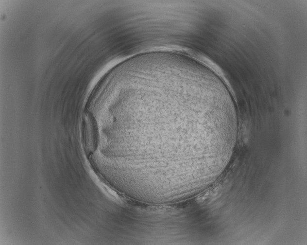 X0000067510811200604281607