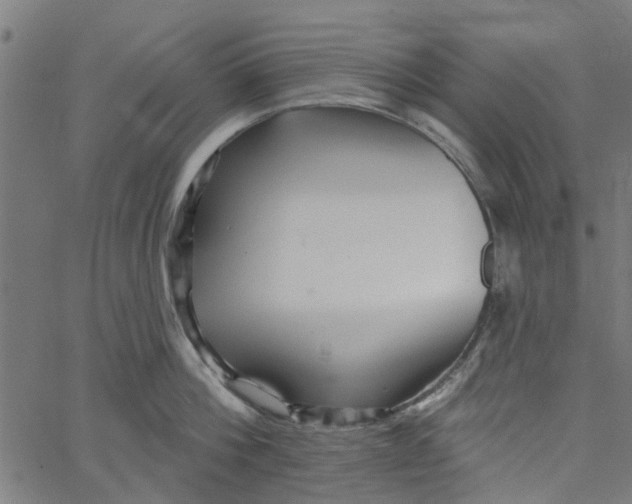 X0000067510812200604281607