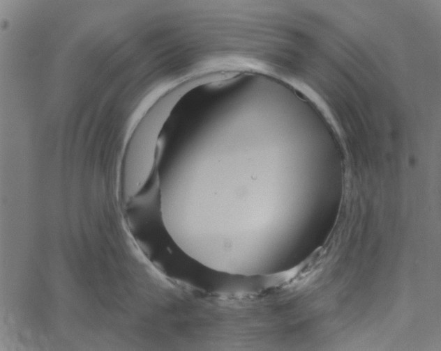 X0000067510815200604281607