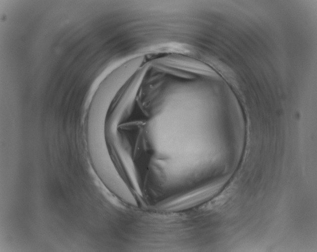 X0000067510816200604281607