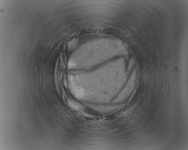 X0000067510818200604281606