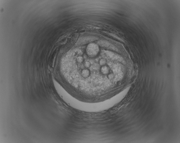 X0000067510819200604281606