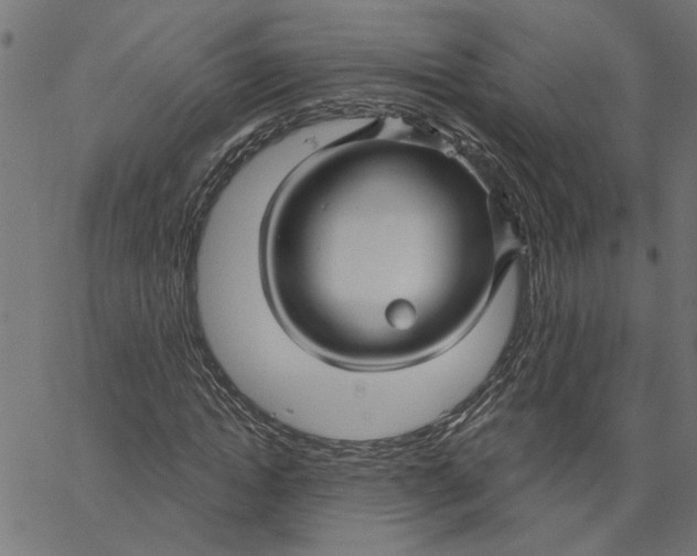 X0000067510822200604281606