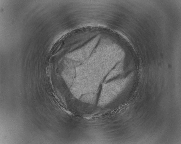 X0000067510823200604281606