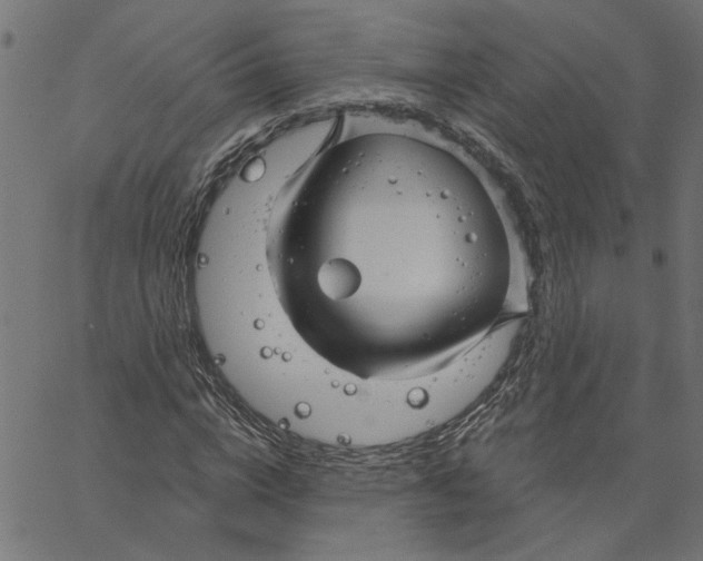 X0000067510824200604281606