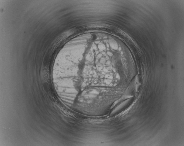 X0000067510825200604281606