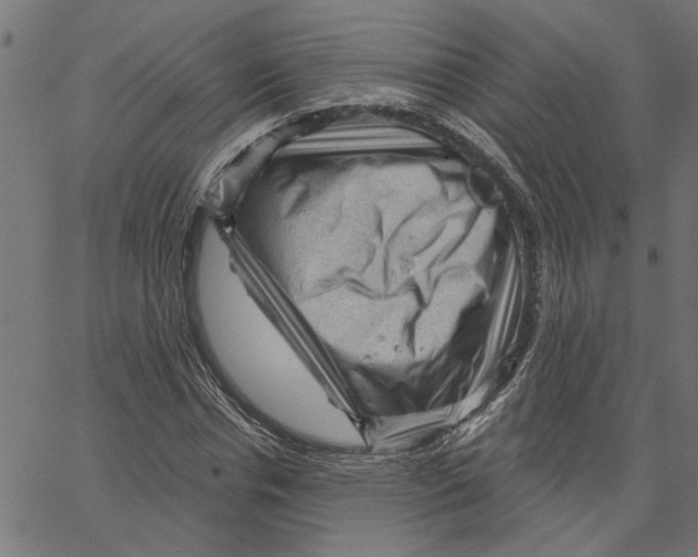 X0000067510826200604281606