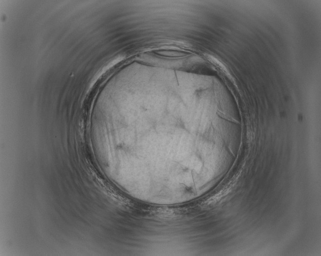 X0000067510827200604281606