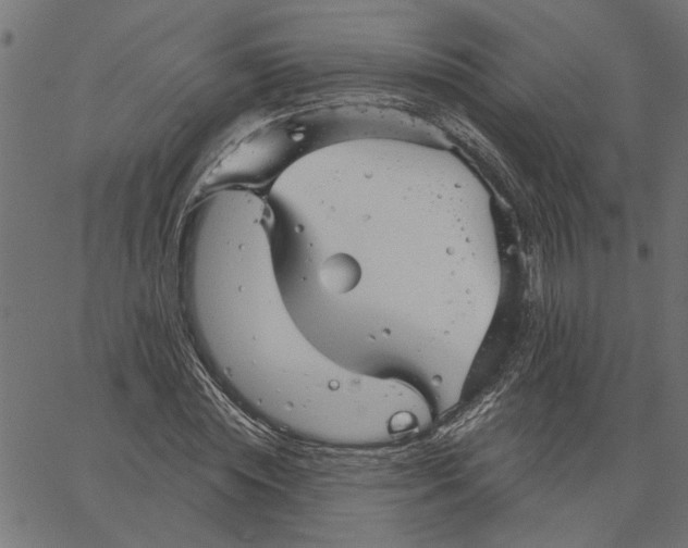 X0000067510828200604281606