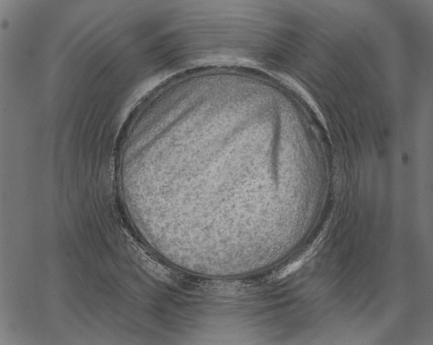 X0000067510831200604281606