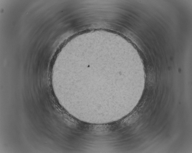 X0000067510832200604281606