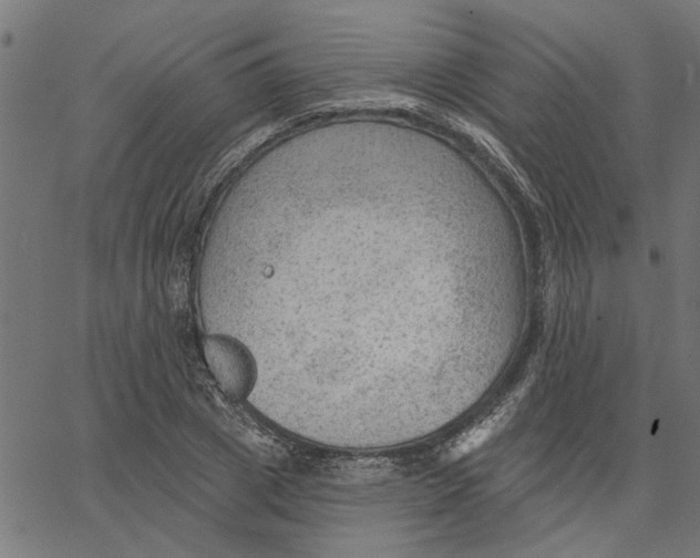 X0000067510833200604281606