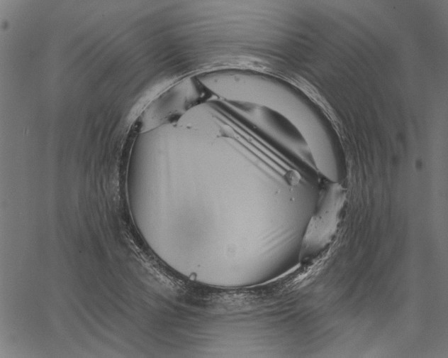 X0000067510834200604281606