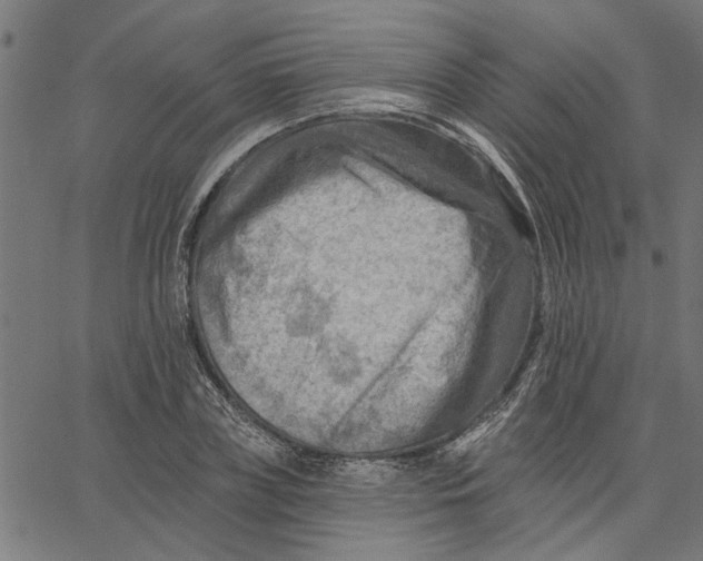 X0000067510835200604281606