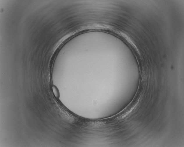 X0000067510837200604281606