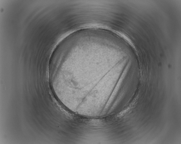 X0000067510839200604281606