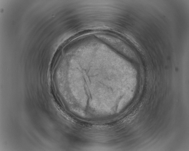 X0000067510840200604281606